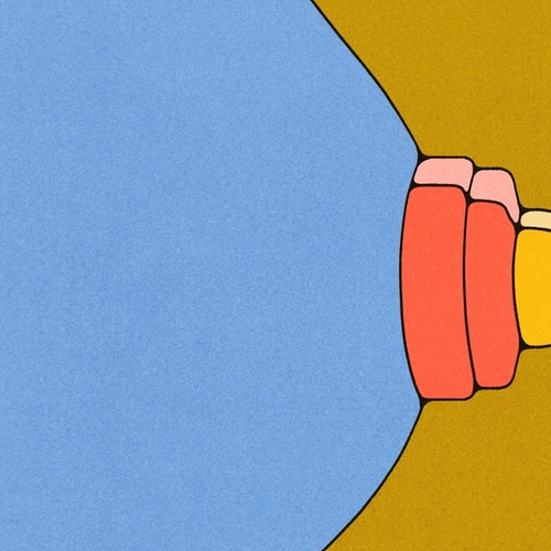 Podcast van de week: Het witte goud