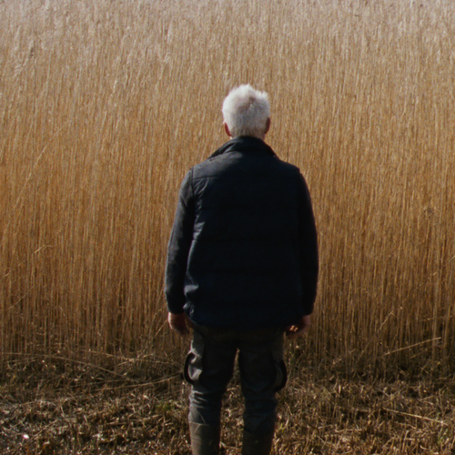 Maak kans op vrijkaarten voor de film 'Rietland'