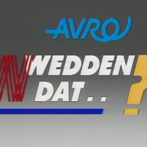 Wedden dat..? (1986-1999)