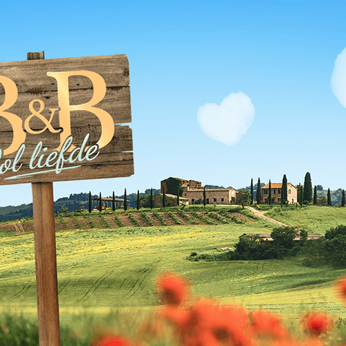 Wat is er toch zo bijzonder aan het razendpopulaire B&B vol liefde?