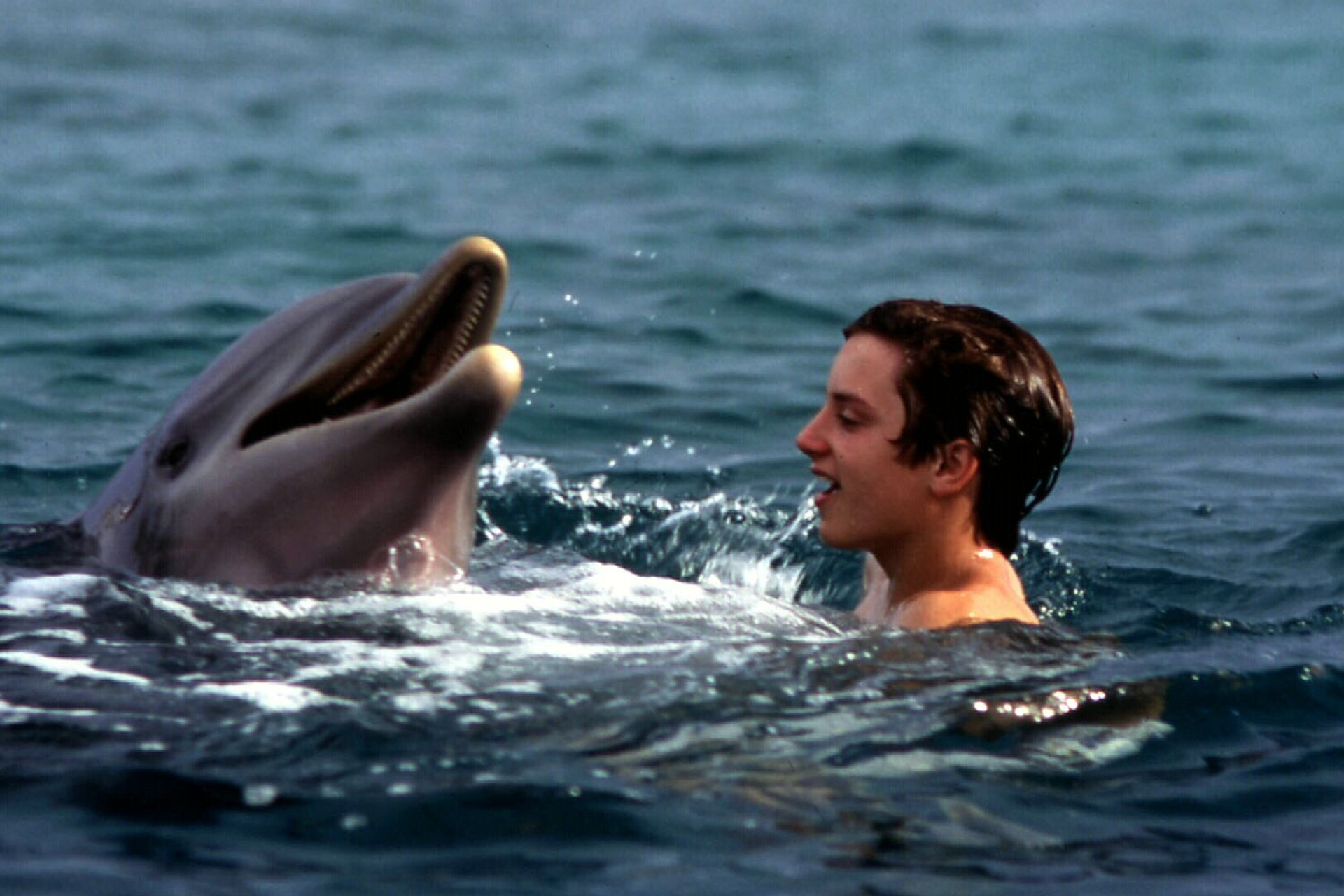 Flipper
