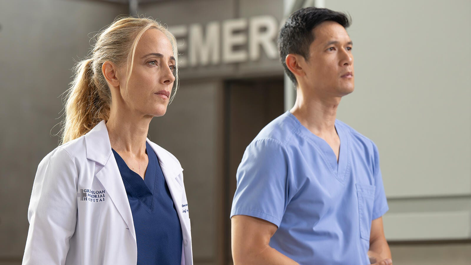 Grey's Anatomy seizoen 22