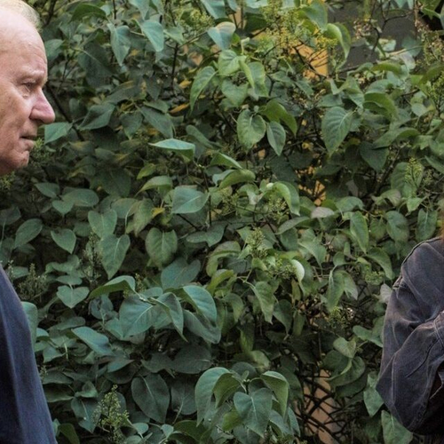 Maak kans op vrijkaarten voor de film Sentimental Value