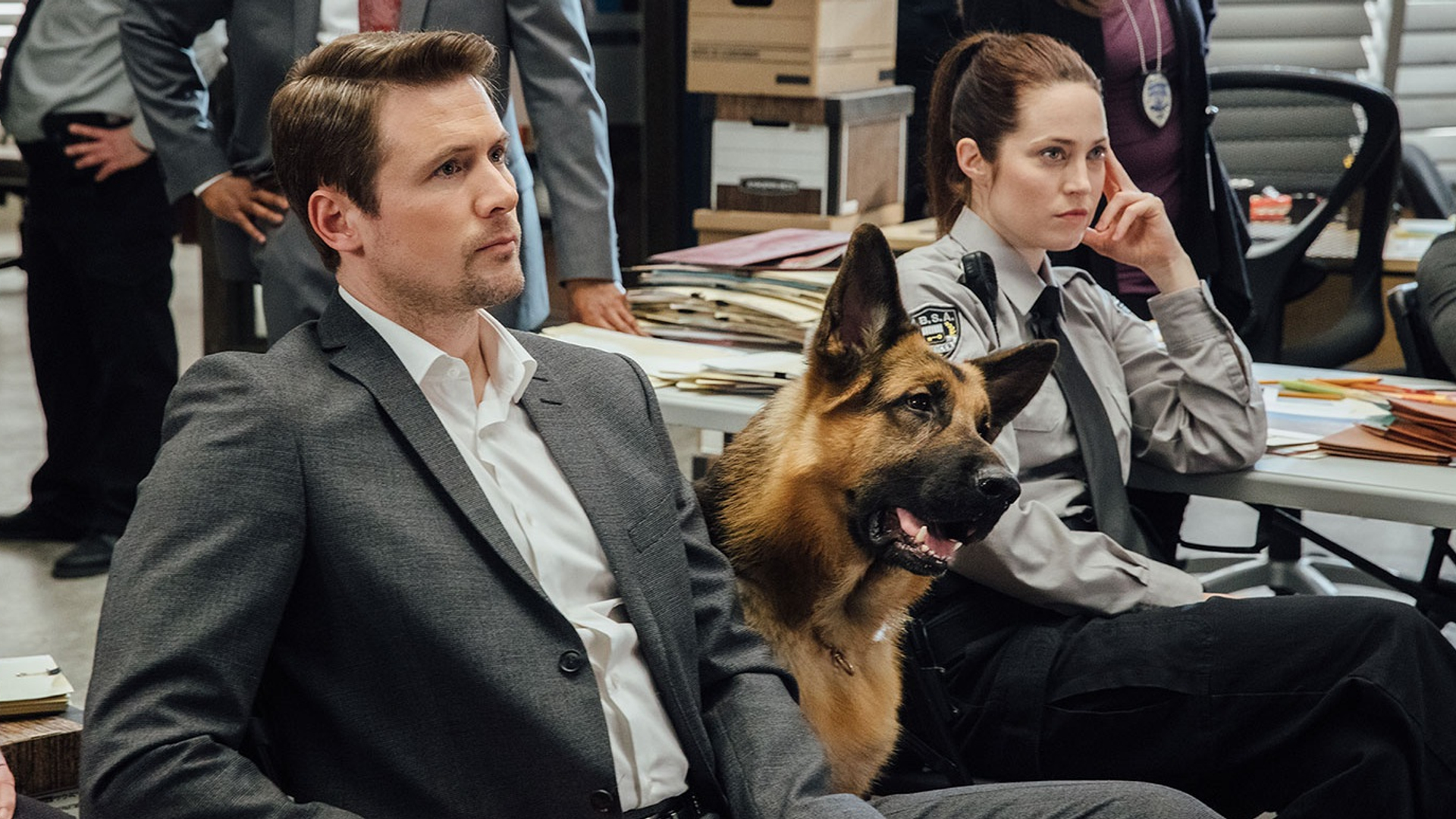 Hudson & Rex seizoen 7