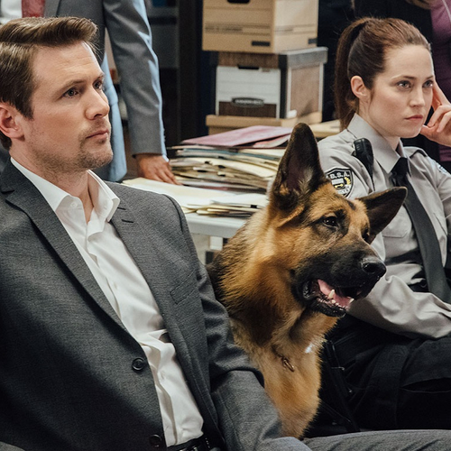 Hudson & Rex: zevende seizoen gaat in oktober van start bij Star Channel