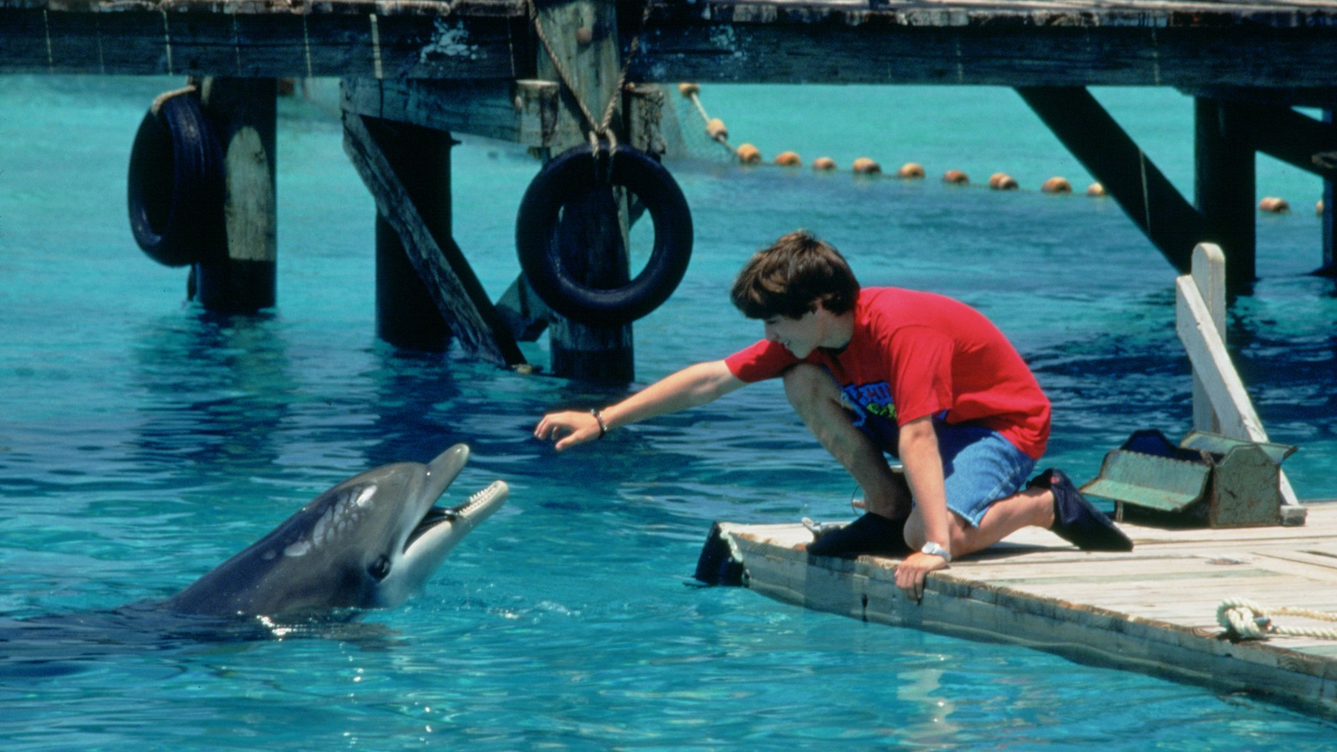 Flipper