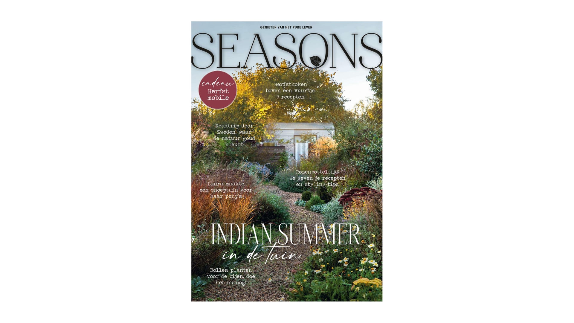 Magazine seasons