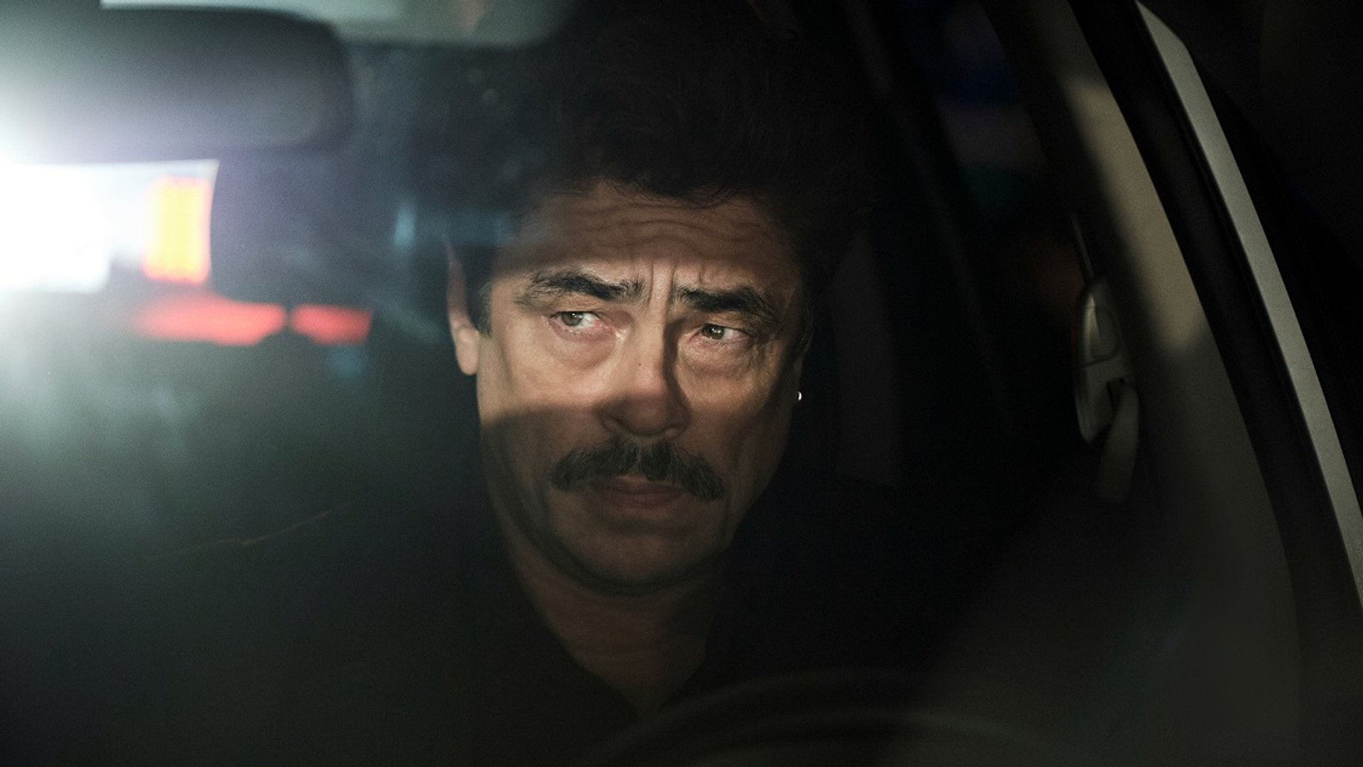 REPTILE_20221004_15293_r3