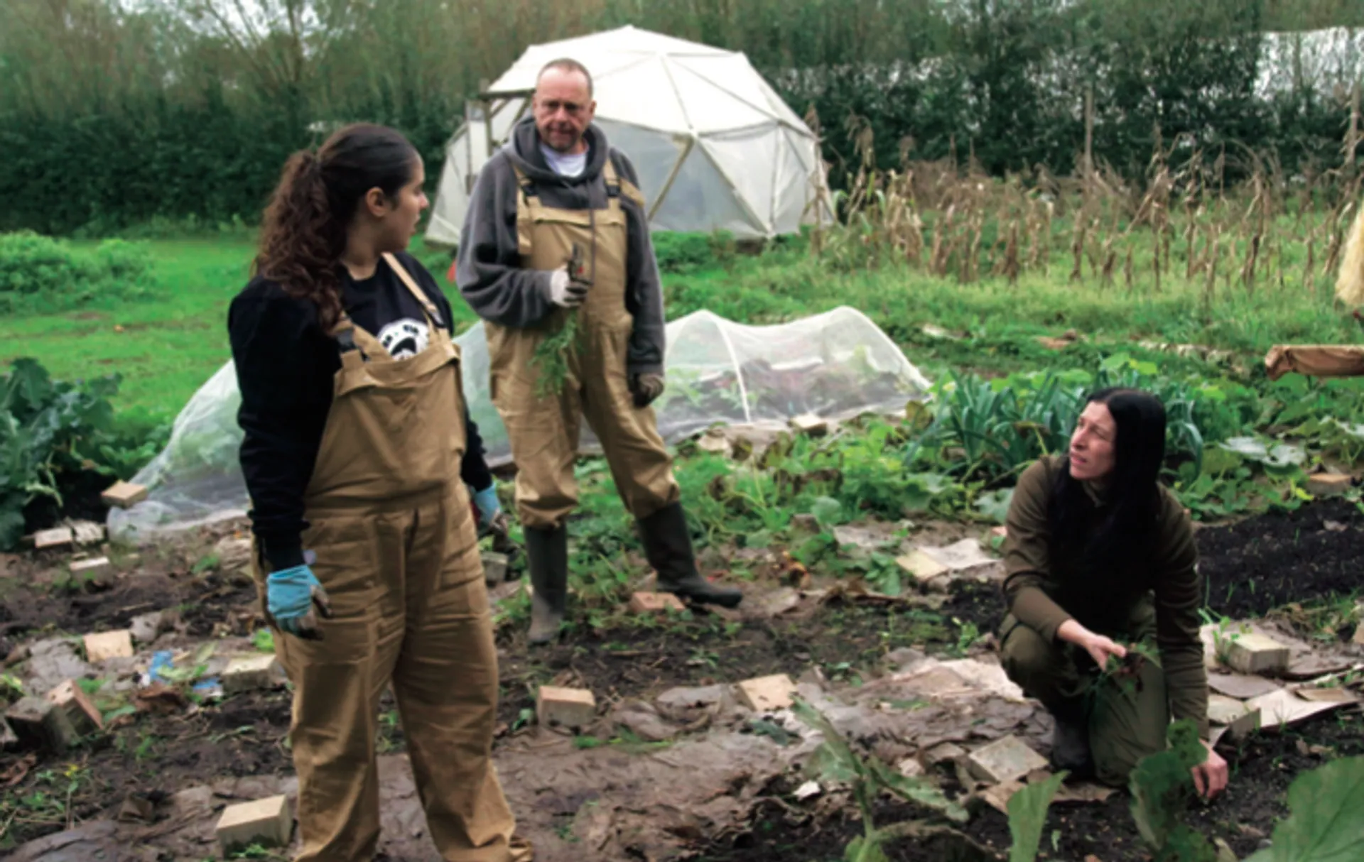 Boerderij van Dorst in een notendop: Je ziel blootleggen tijdens de courgetteoogst.