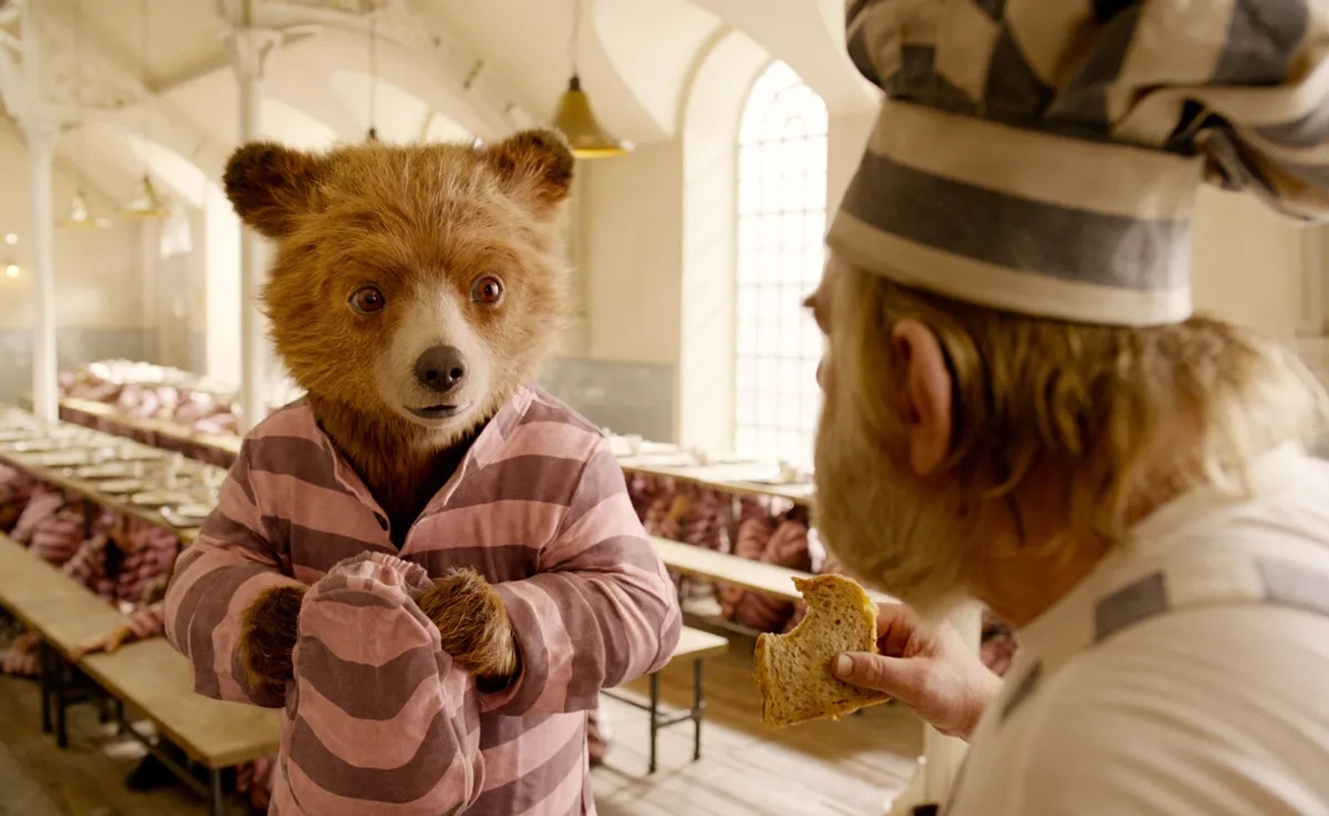 Brody-Paddington-2