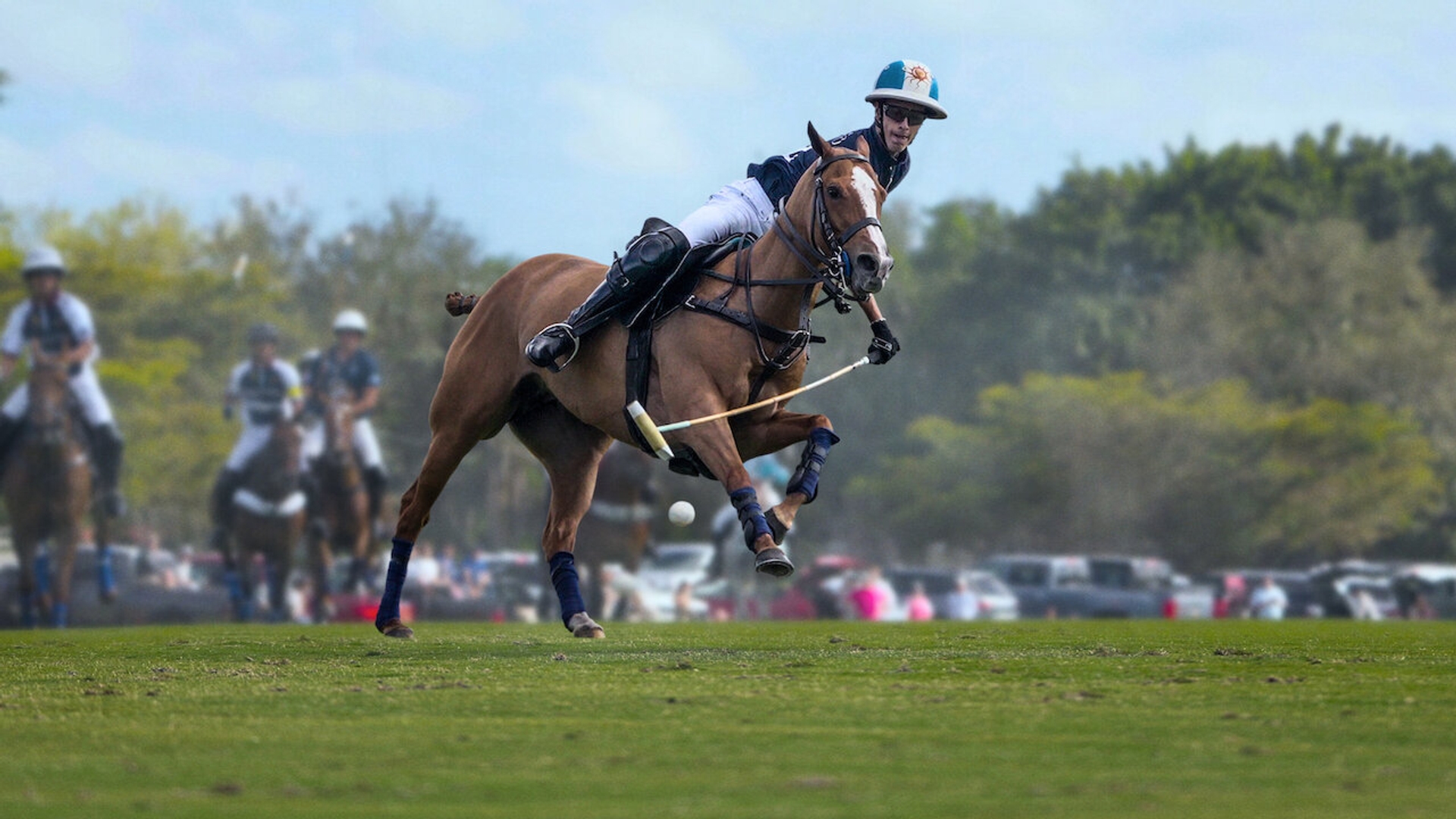 Afbeelding van Polo S01E01: romantisering van bedenkelijke sport