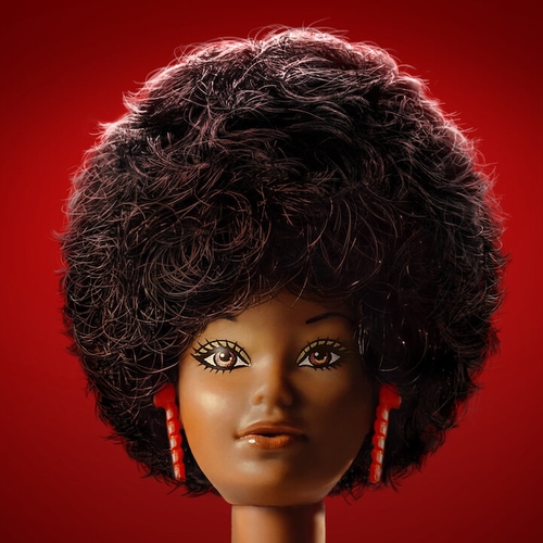 Black Barbie: ontroerende verhalen; matige uitwerking