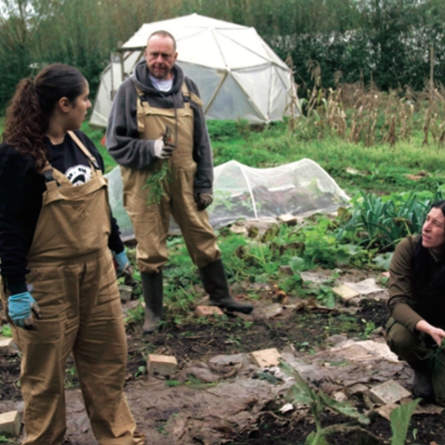 Boerderij van Dorst in een notendop: Je ziel blootleggen tijdens de courgetteoogst.