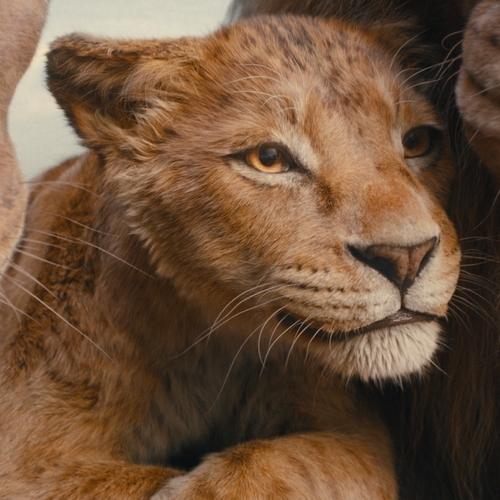 Mufasa: The Lion King gaat aan mij voorbij