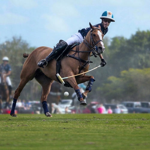 Polo S01E01: romantisering van bedenkelijke sport