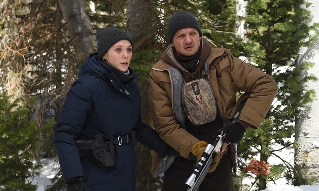 Afbeelding van Overzicht: series en films bij de NPO met Wind River